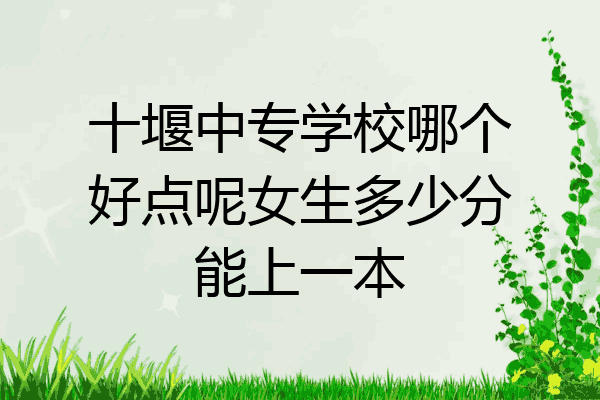 十堰中专学校哪个好点呢女生多少分能上一本