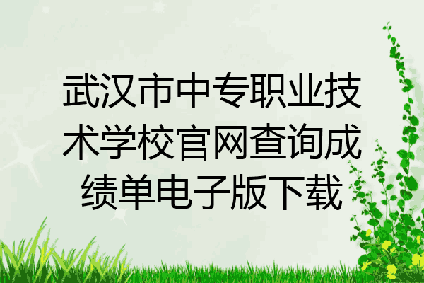 武汉市中专职业技术学校官网查询成绩单电子版下载