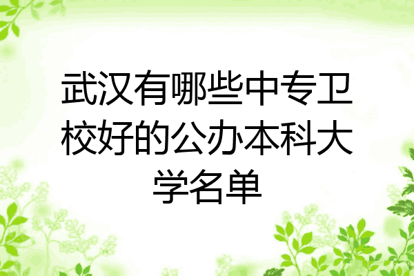 武汉有哪些中专卫校好的公办本科大学名单