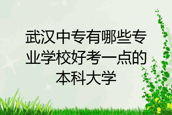 武汉中专有哪些专业学校好考一点的本科大学
