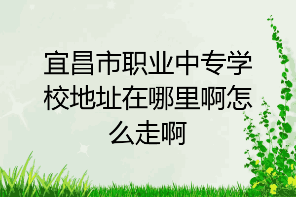宜昌市职业中专学校地址在哪里啊怎么走啊