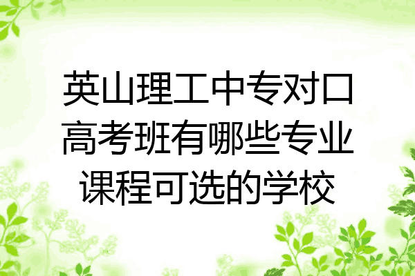 英山理工中专对口高考班有哪些专业课程可选的学校