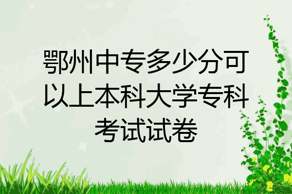 鄂州中专多少分可以上本科大学专科考试试卷