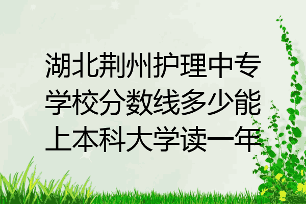 湖北荆州护理中专学校分数线多少能上本科大学读一年
