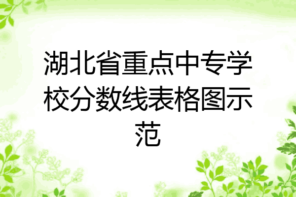 湖北省重点中专学校分数线表格图示范