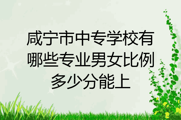 咸宁市中专学校有哪些专业男女比例多少分能上