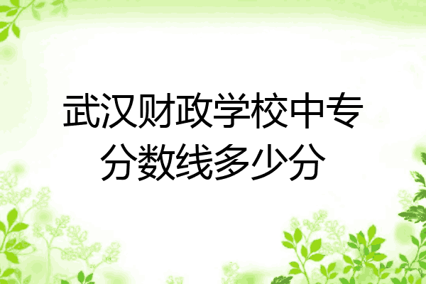 武汉财政学校中专分数线多少分