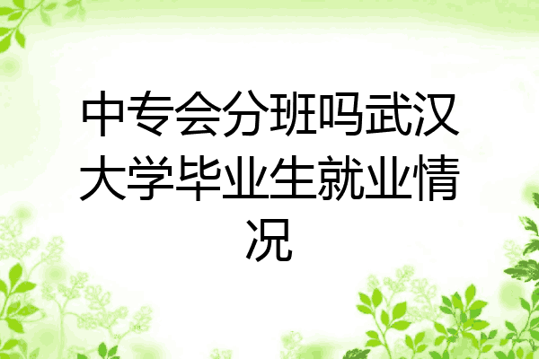 中专会分班吗武汉大学毕业生就业情况