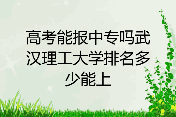 高考能报中专吗武汉理工大学排名多少能上