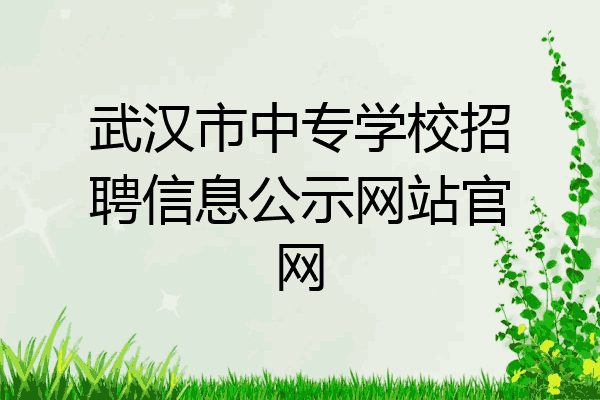 武汉市中专学校招聘信息公示网站官网