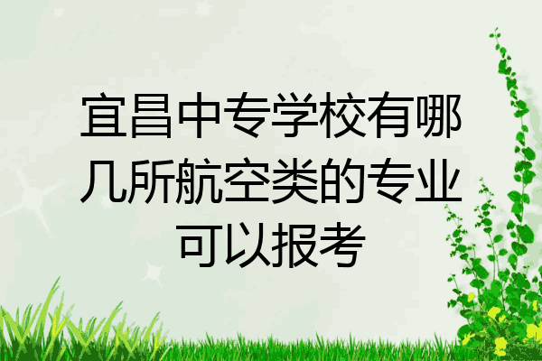 宜昌中专学校有哪几所航空类的专业可以报考
