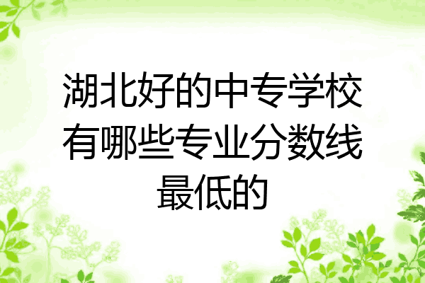 湖北好的中专学校有哪些专业分数线最低的