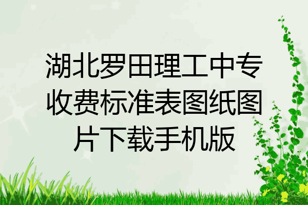 湖北罗田理工中专收费标准表图纸图片下载手机版