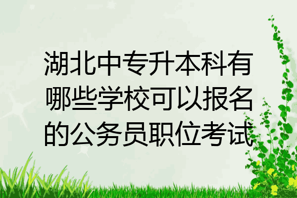 湖北中专升本科有哪些学校可以报名的公务员职位考试