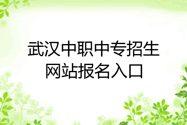 武汉中职中专招生网站报名入口