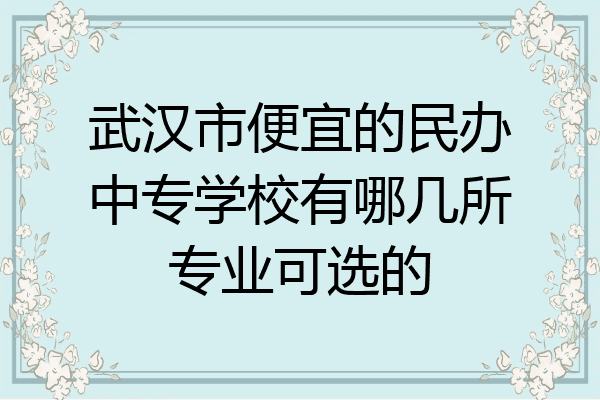 武汉市便宜的民办中专学校有哪几所专业可选的