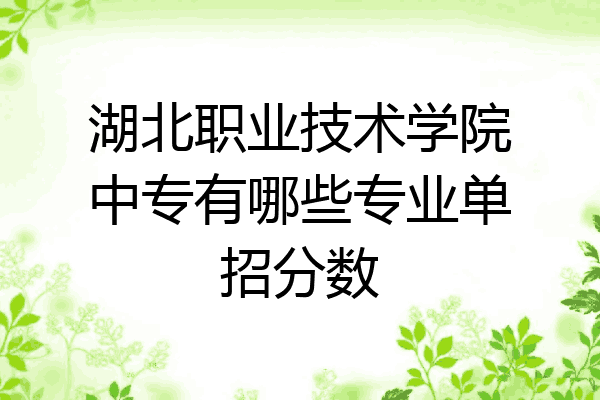 湖北职业技术学院中专有哪些专业单招分数