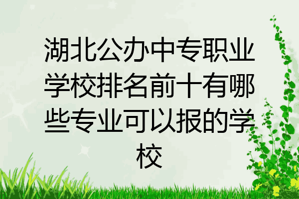 湖北公办中专职业学校排名前十有哪些专业可以报的学校