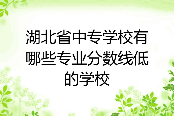 湖北省中专学校有哪些专业分数线低的学校