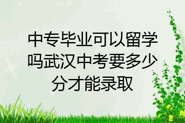 中专毕业可以留学吗武汉中考要多少分才能录取