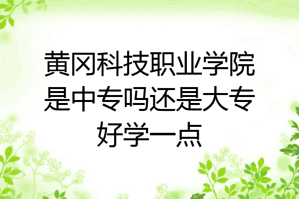 黄冈科技职业学院是中专吗还是大专好学一点
