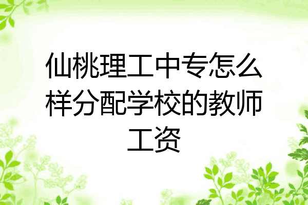 仙桃理工中专怎么样分配学校的教师工资