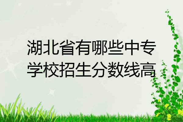 湖北省有哪些中专学校招生分数线高