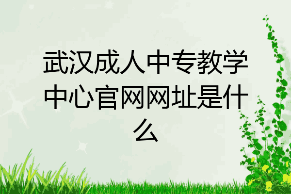 武汉成人中专教学中心官网网址是什么