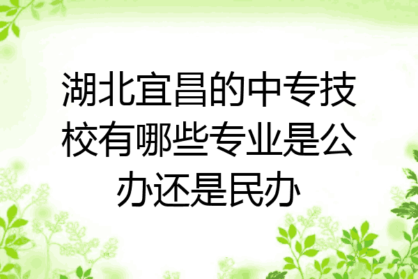 湖北宜昌的中专技校有哪些专业是公办还是民办