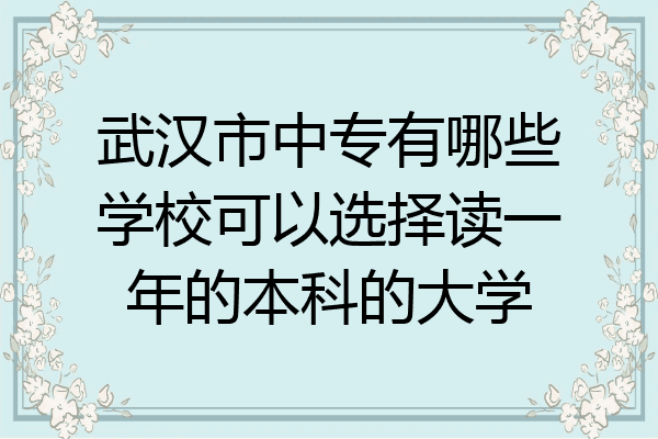 武汉市中专有哪些学校可以选择读一年的本科的大学