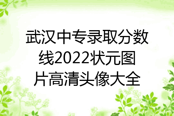 武汉中专录取分数线2022状元图片高清头像大全