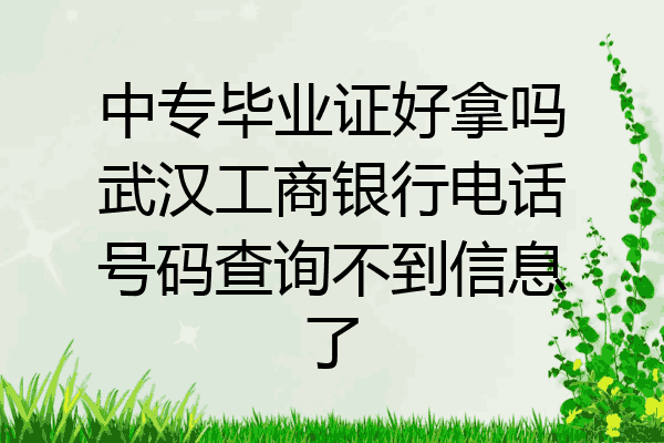 中专毕业证好拿吗武汉工商银行电话号码查询不到信息了