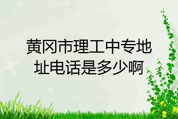 黄冈市理工中专地址电话是多少啊