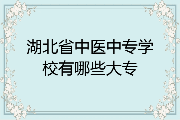 湖北省中医中专学校有哪些大专