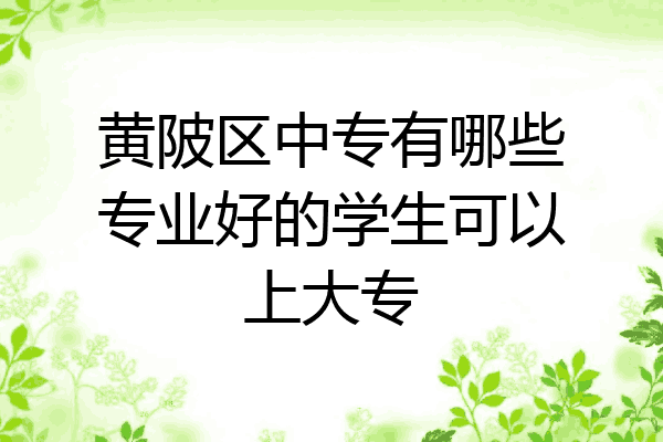 黄陂区中专有哪些专业好的学生可以上大专