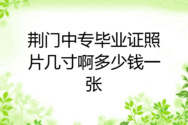 荆门中专毕业证照片几寸啊多少钱一张