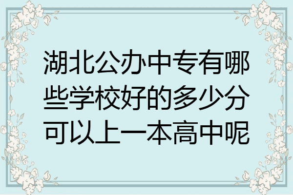 湖北公办中专有哪些学校好的多少分可以上一本高中呢
