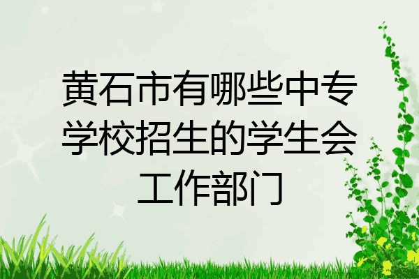 黄石市有哪些中专学校招生的学生会工作部门