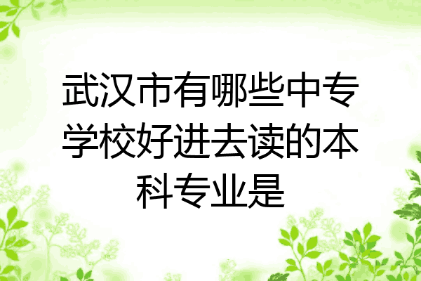 武汉市有哪些中专学校好进去读的本科专业是