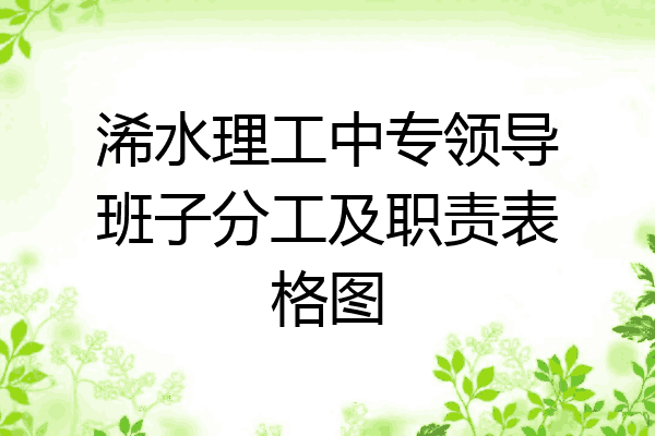 浠水理工中专领导班子分工及职责表格图