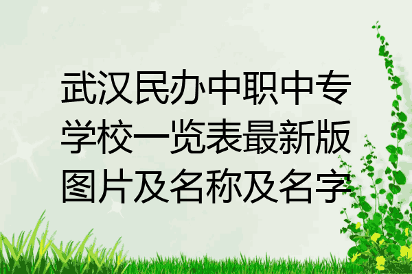 武汉民办中职中专学校一览表最新版图片及名称及名字