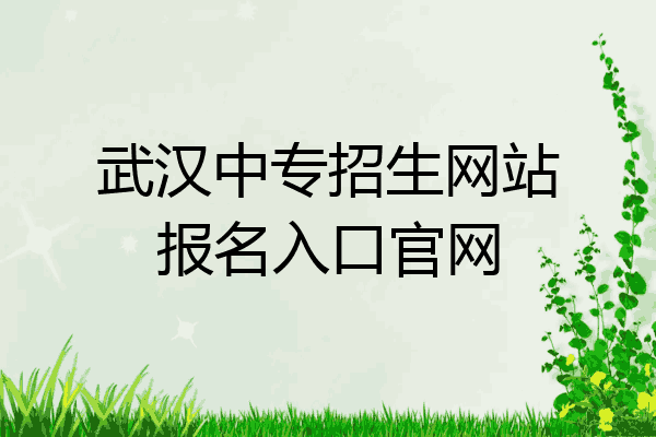 武汉中专招生网站报名入口官网