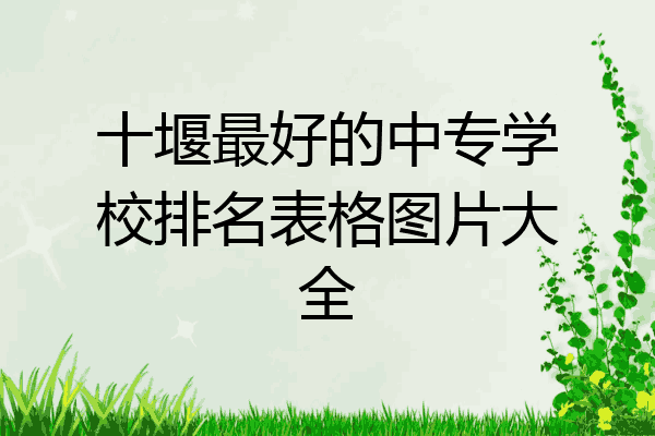 十堰最好的中专学校排名表格图片大全