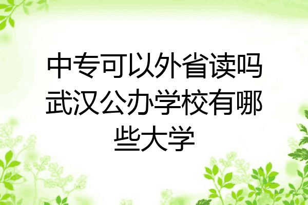 中专可以外省读吗武汉公办学校有哪些大学