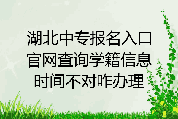湖北中专报名入口官网查询学籍信息时间不对咋办理