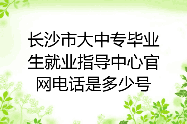 长沙市大中专毕业生就业指导中心官网电话是多少号
