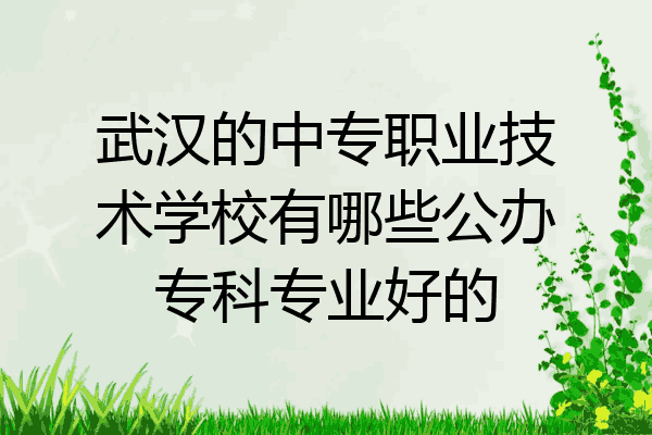 武汉的中专职业技术学校有哪些公办专科专业好的