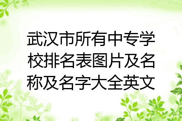 武汉市所有中专学校排名表图片及名称及名字大全英文