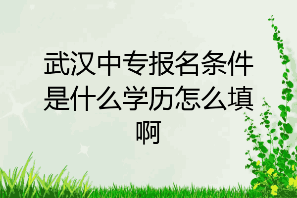 武汉中专报名条件是什么学历怎么填啊