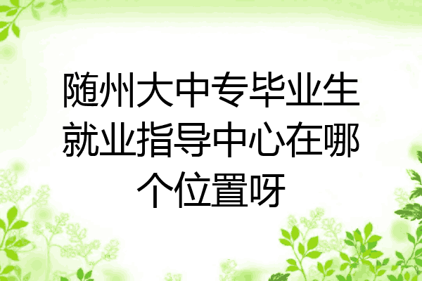随州大中专毕业生就业指导中心在哪个位置呀
